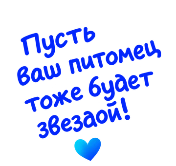 Пусть ваш питомец тоже будет звездой!